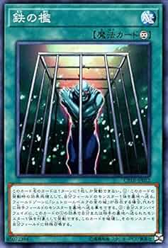 遊戯王カード Amazon.co.jp: 遊戯王カード QCCP-JP108 真紅眼の黒竜